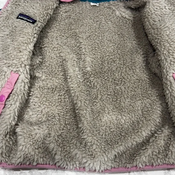 Patagonia Reversible Fleece Jacket